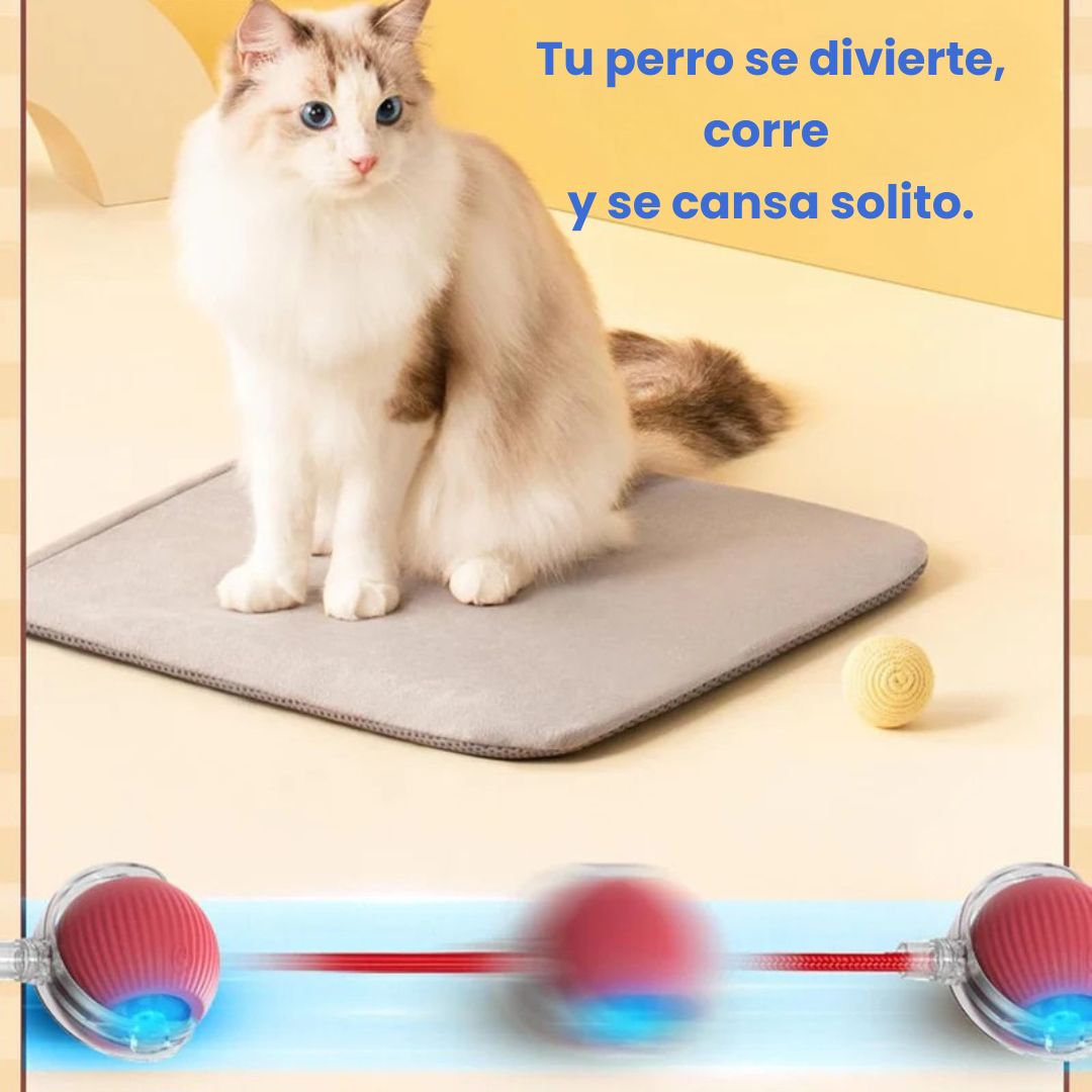 PelotaMía – La pelota inteligente que tu mascota ama