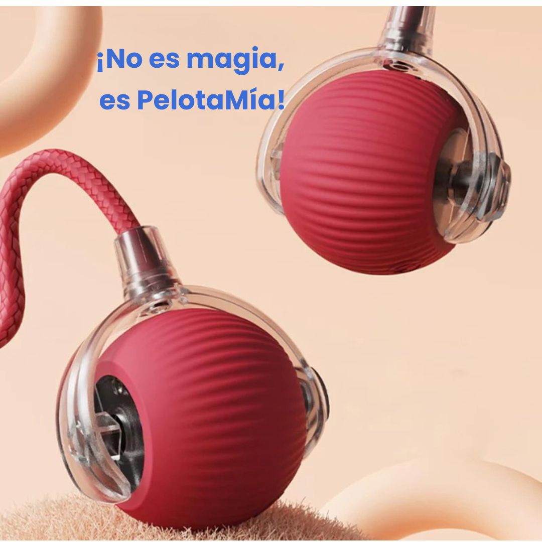 PelotaMía – La pelota inteligente que tu mascota ama