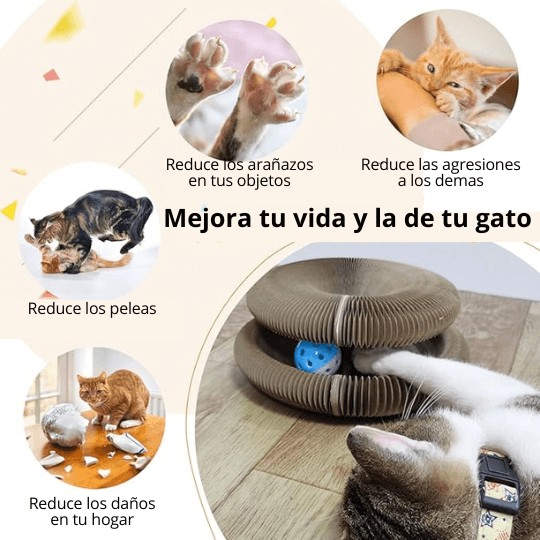 TABLERO MAGICO HAPPYCAT PARA GATOS 3 EN 1 (ESTRUCTURA+PELOTA)